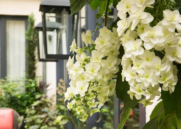4 star hotel: Hotel Villa Madame - Saint-Germain-Des-Pres