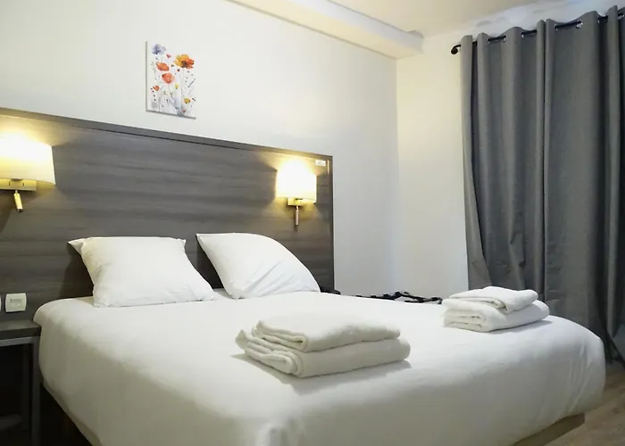 Animaux admis Hipotel Paris Voltaire Bastille