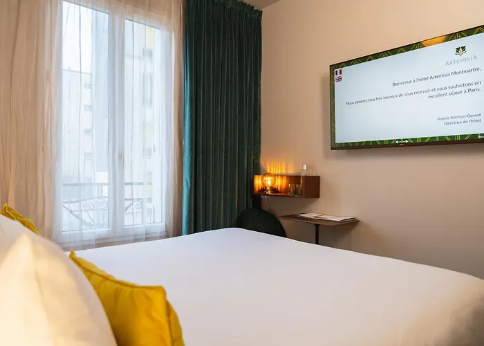 Hôtel Jacuzzi: Artemisia Montmartre